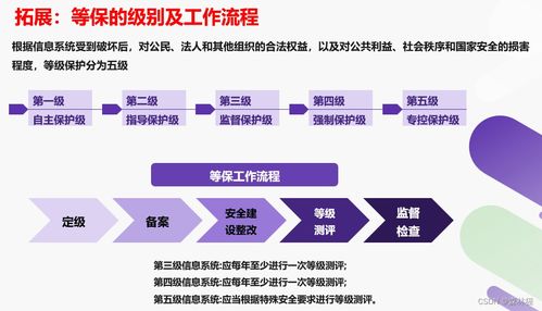 信息系統(tǒng)網(wǎng)絡(luò)安全方案 基于“3保1評”的軟件開發(fā)實踐